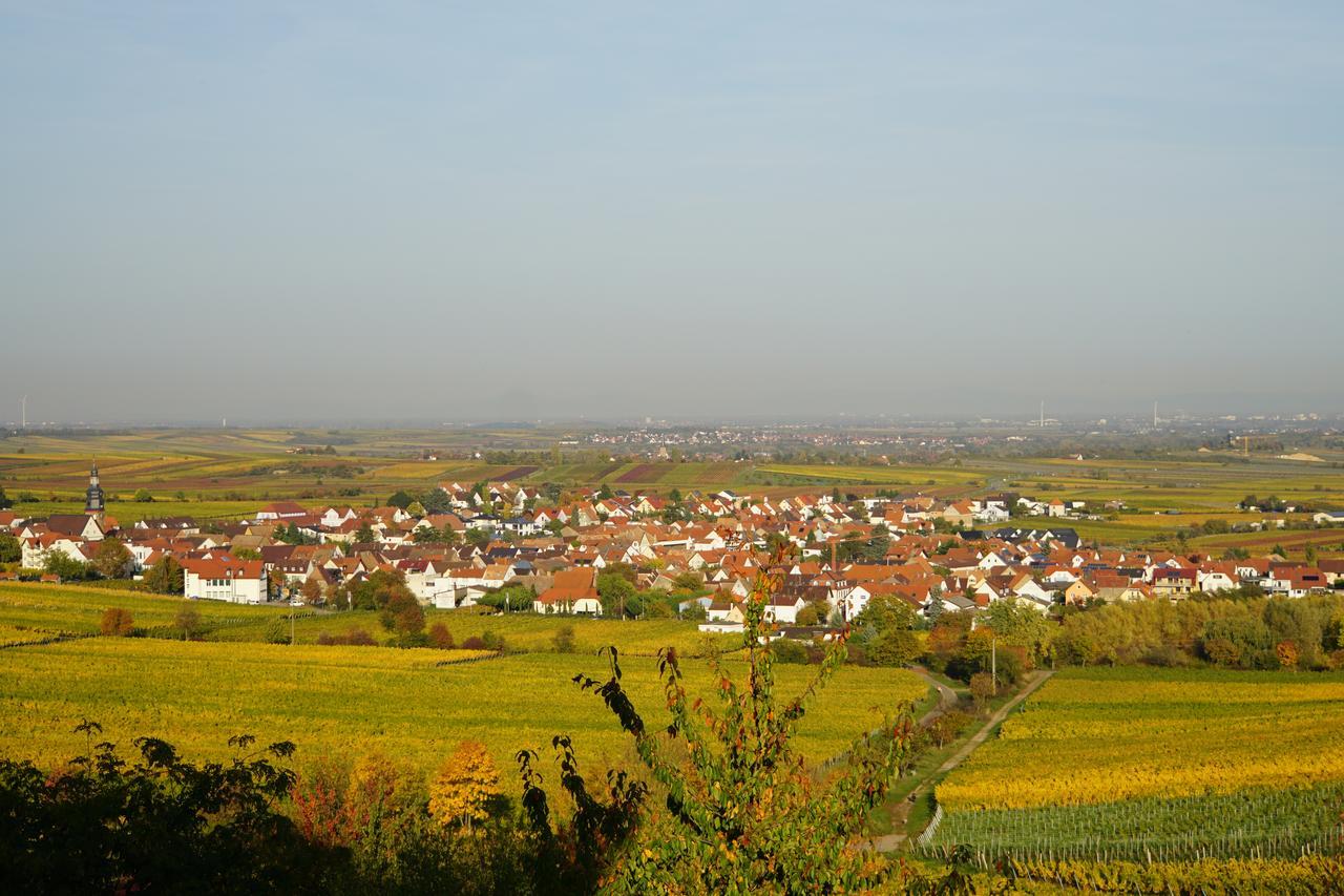 Ferienwohnung Knittel Kallstadt Zewnętrze zdjęcie